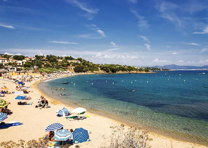 T2 Lumineux Avec Terrasse A